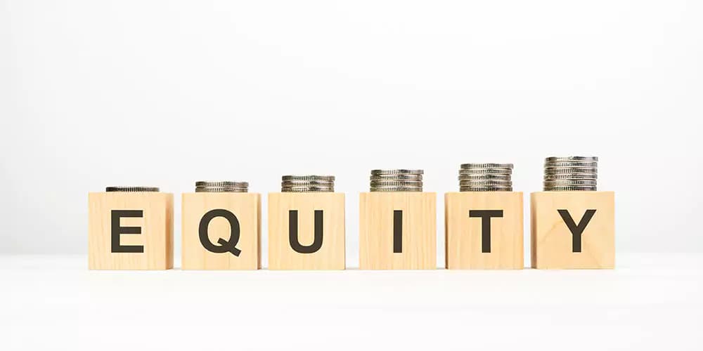 Equity Investment